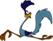 Road Runner logo